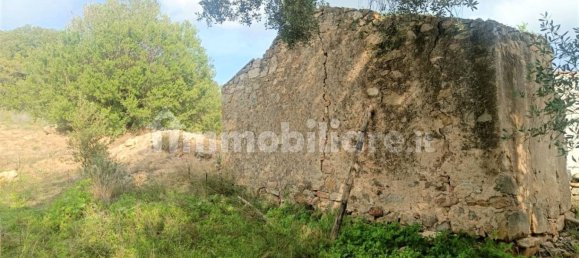 Terreno en Monti, Italy 12000 m² No. 92076 5