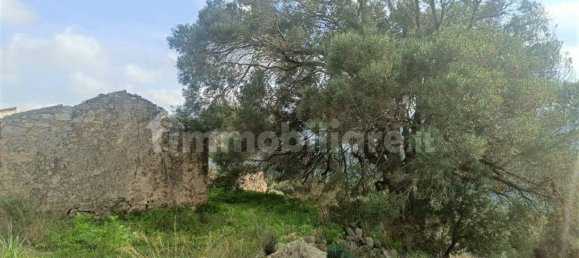 Terreno en Monti, Italy 12000 m² No. 92076 7