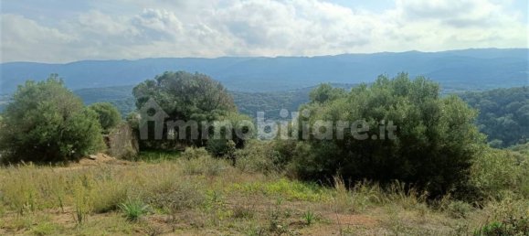 Terreno en Monti, Italy 12000 m² No. 92076 4