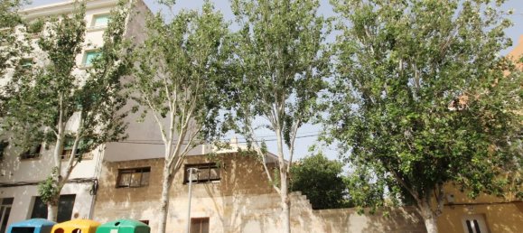 Grundstück in Mahon, Spain, Nr. 3772 10