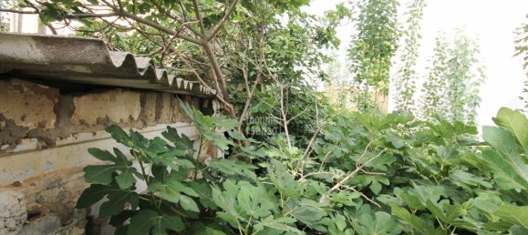 Grundstück in Mahon, Spain, Nr. 3772 12