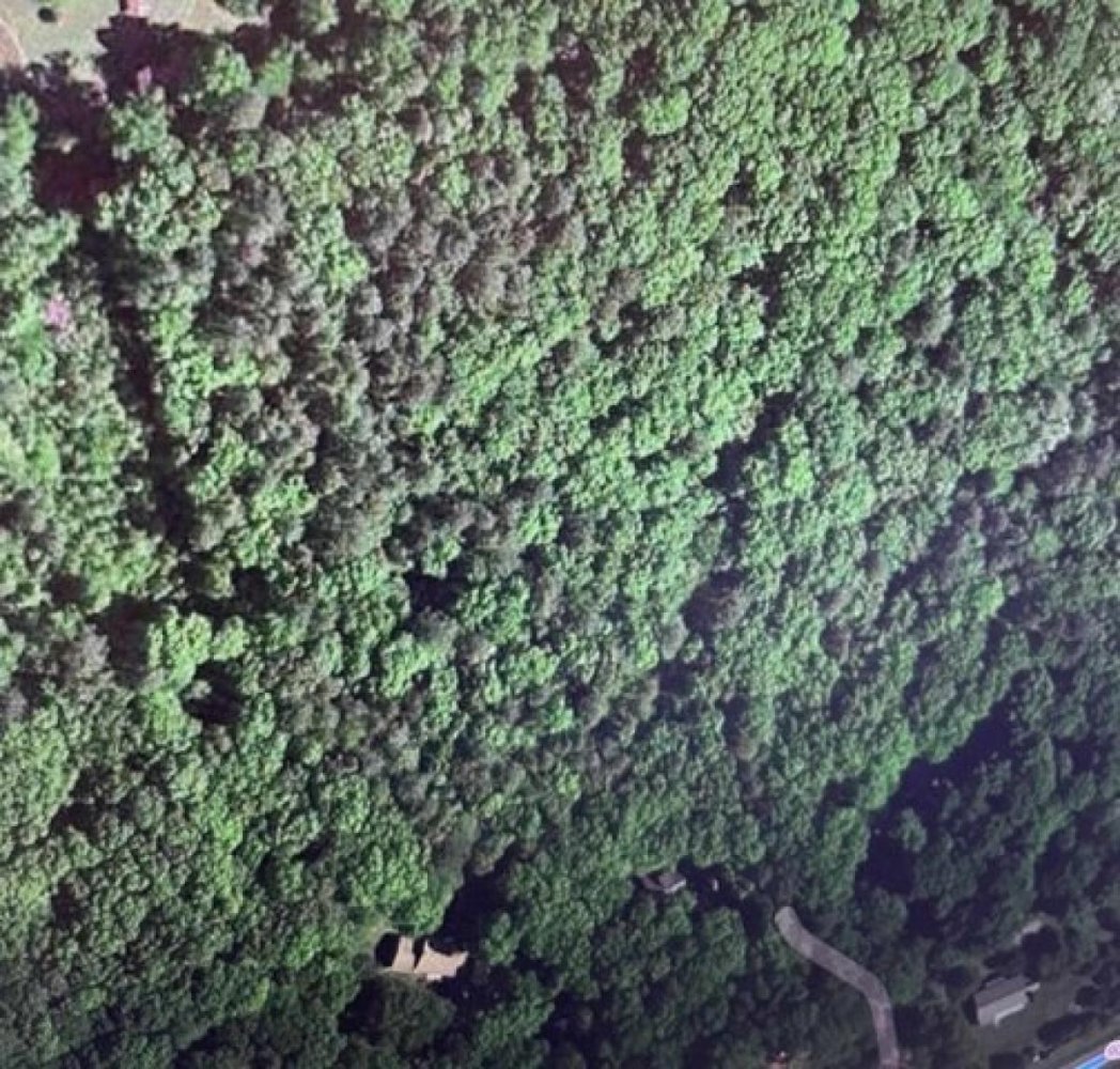 Terreno em Pittsboro, USA N.º 508768