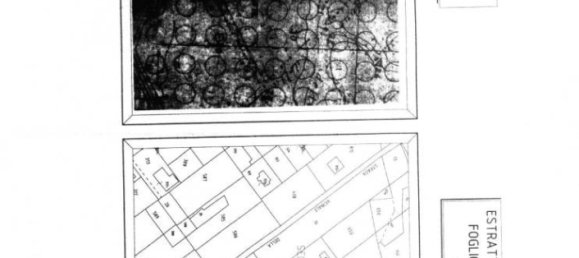 4 bedrooms Villa in Nettuno, Italy No. 181041 42