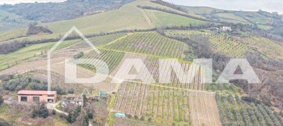  قطعة أرض في Bertinoro, Italy 210000متر مربع رقم 349618 13