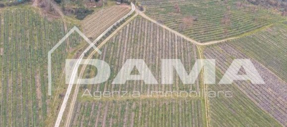  قطعة أرض في Bertinoro, Italy 210000متر مربع رقم 349618 11