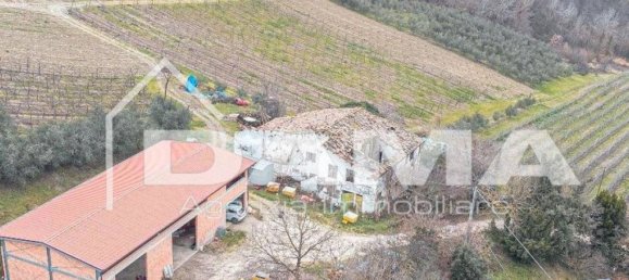  قطعة أرض في Bertinoro, Italy 210000متر مربع رقم 349618 18