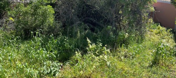 1192m² Land in Loule, Portugal No. 51419 5