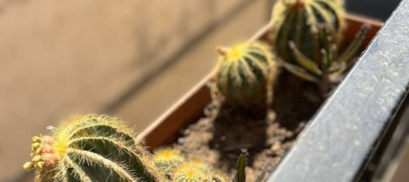 5 rooms House in Modica, Italy No. 251706 7