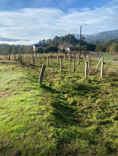 Земельный участок 4500м² в Ла Каниза, Испания № 183085