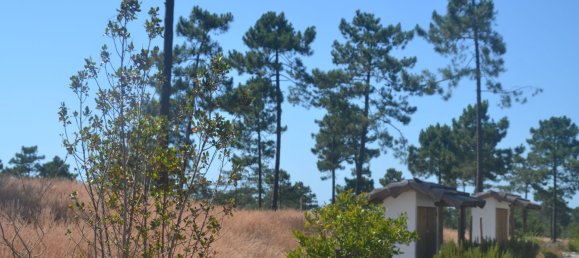 Grundstück in Grandola, Portugal 2892m², Nr. 134038 6