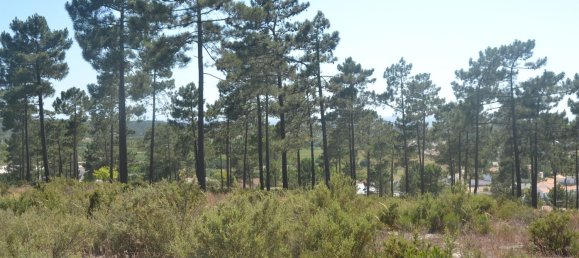 Grundstück in Grandola, Portugal 2892m², Nr. 134038 2