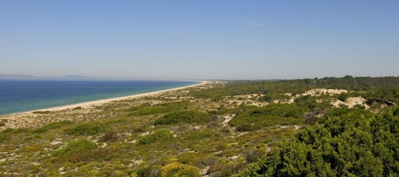 Grundstück in Grandola, Portugal 2892m², Nr. 134038 5