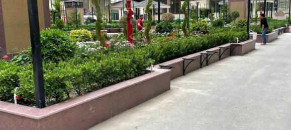 Studio in Nasimi, Azerbaijan, Nr. 2229 12