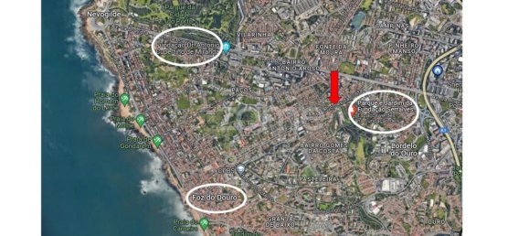 9 bedrooms House in Porto, Portugal No. 124473 37