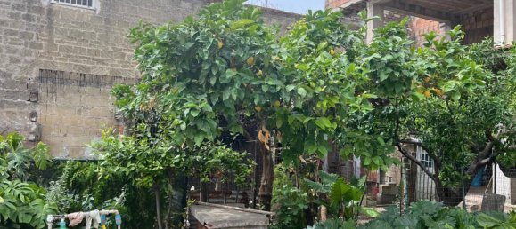 3 Schlafzimmer Wohnung in Mondragone, Italy, Nr. 223973 8