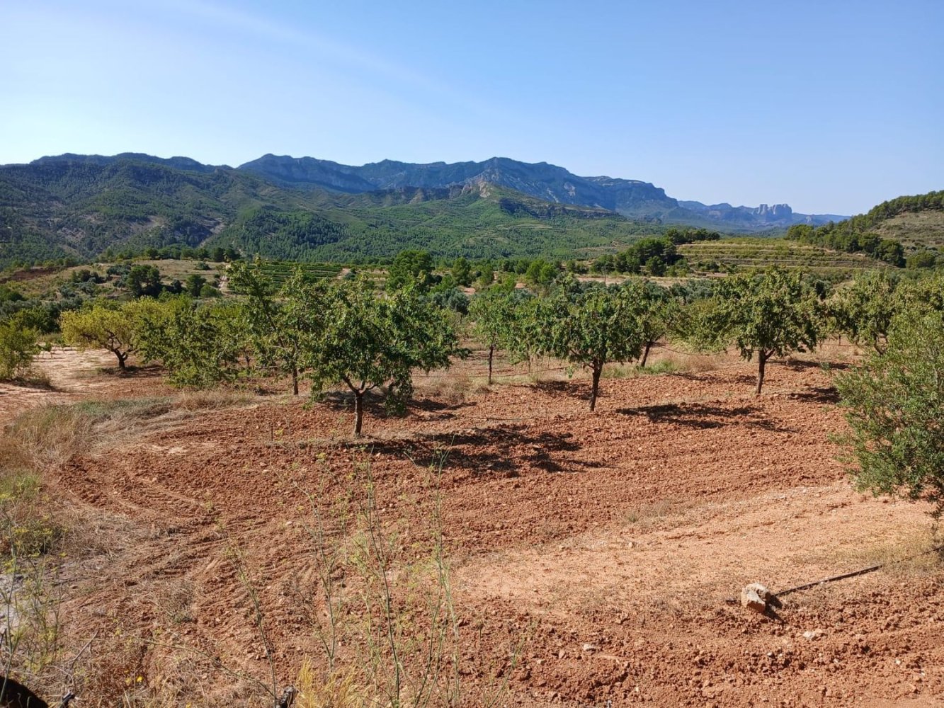  Land in Tarragona, Spain No. 213775