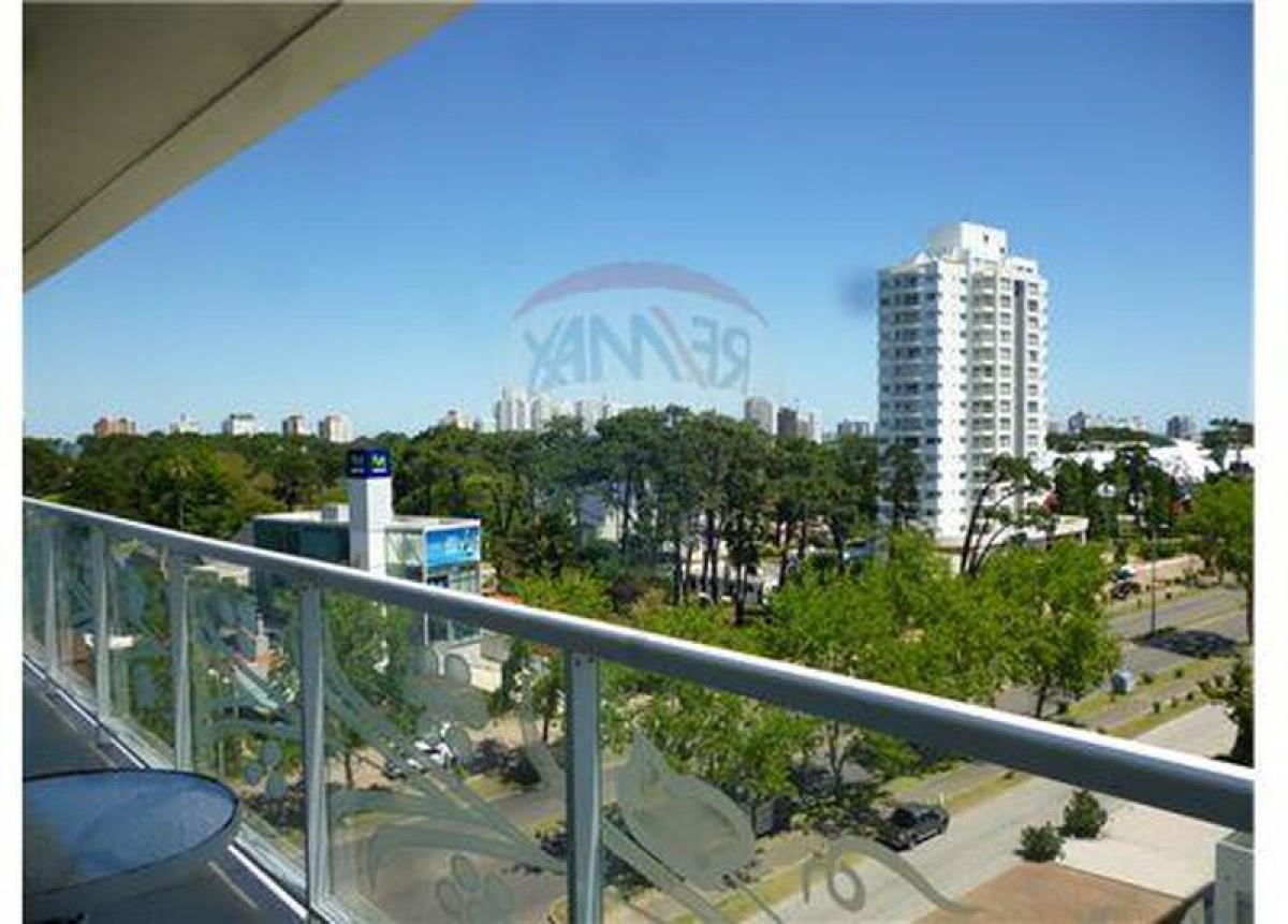 Studio à Maldonado, Uruguay No. 12722