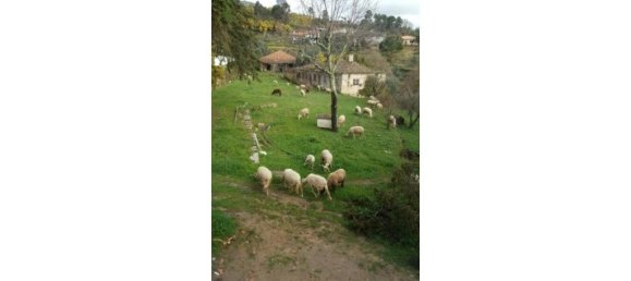 9 bedrooms House in Abrunhosa a Velha, Portugal No. 41373 14