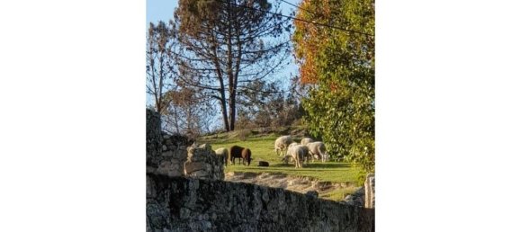 9 bedrooms House in Abrunhosa a Velha, Portugal No. 41373 13