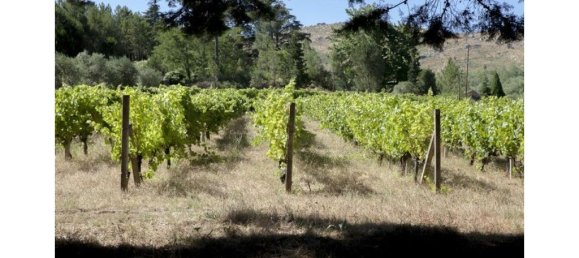 9 bedrooms House in Abrunhosa a Velha, Portugal No. 41373 16