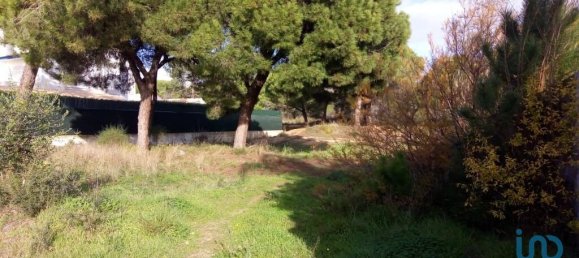 Terrain à Almancil, Portugal 805m² No. 109148 4