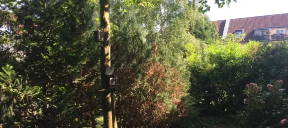 2غرفة شقة في Bonn, Germany رقم 114598 21