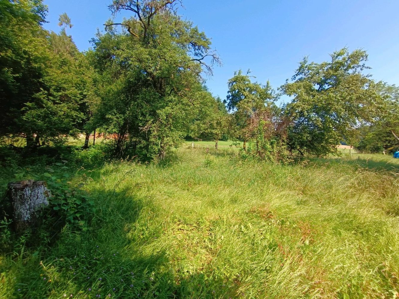 Granja de 1 dormitorio en Odenwaldkreis, Germany No. 334621