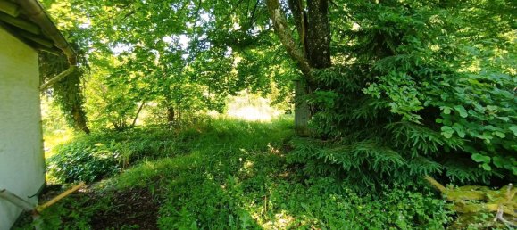 Granja de 1 dormitorio en Odenwaldkreis, Germany No. 334621 5