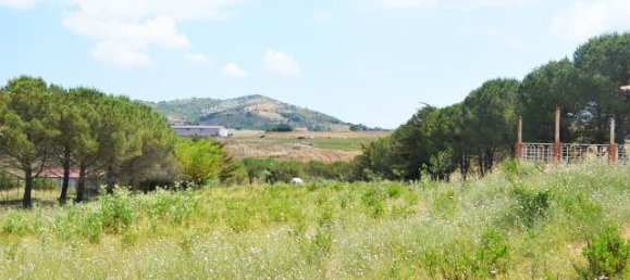 1 Schlafzimmer Haus in Santa Cristina Gela, Italy, Nr. 74032 15