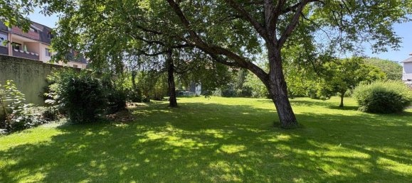 Terrain à Gleisdorf, Austria No. 154581 5