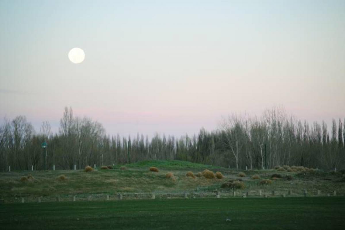  Land in Neuquen, Argentina No. 50206