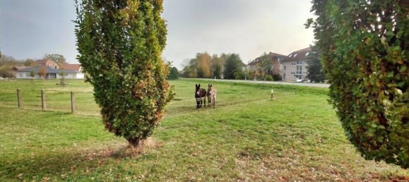 3 chambres Maison de ville à Saalekreis, Germany No. 38119 21