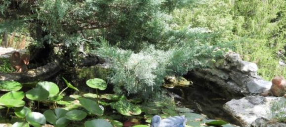 5 bedrooms Castles in Ne, Italy No. 124471 22