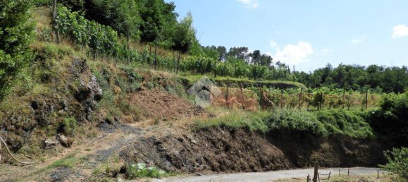 5 bedrooms Castles in Ne, Italy No. 124471 31