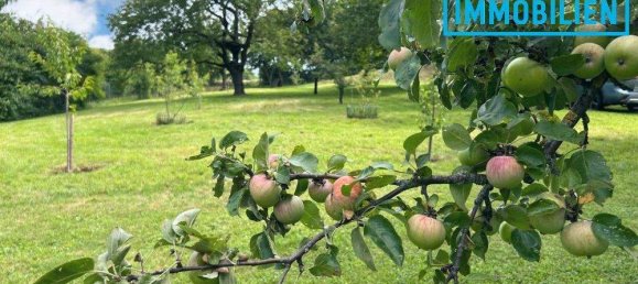 6غرفة منزل في Klosterneuburg, Austria رقم 241164 21