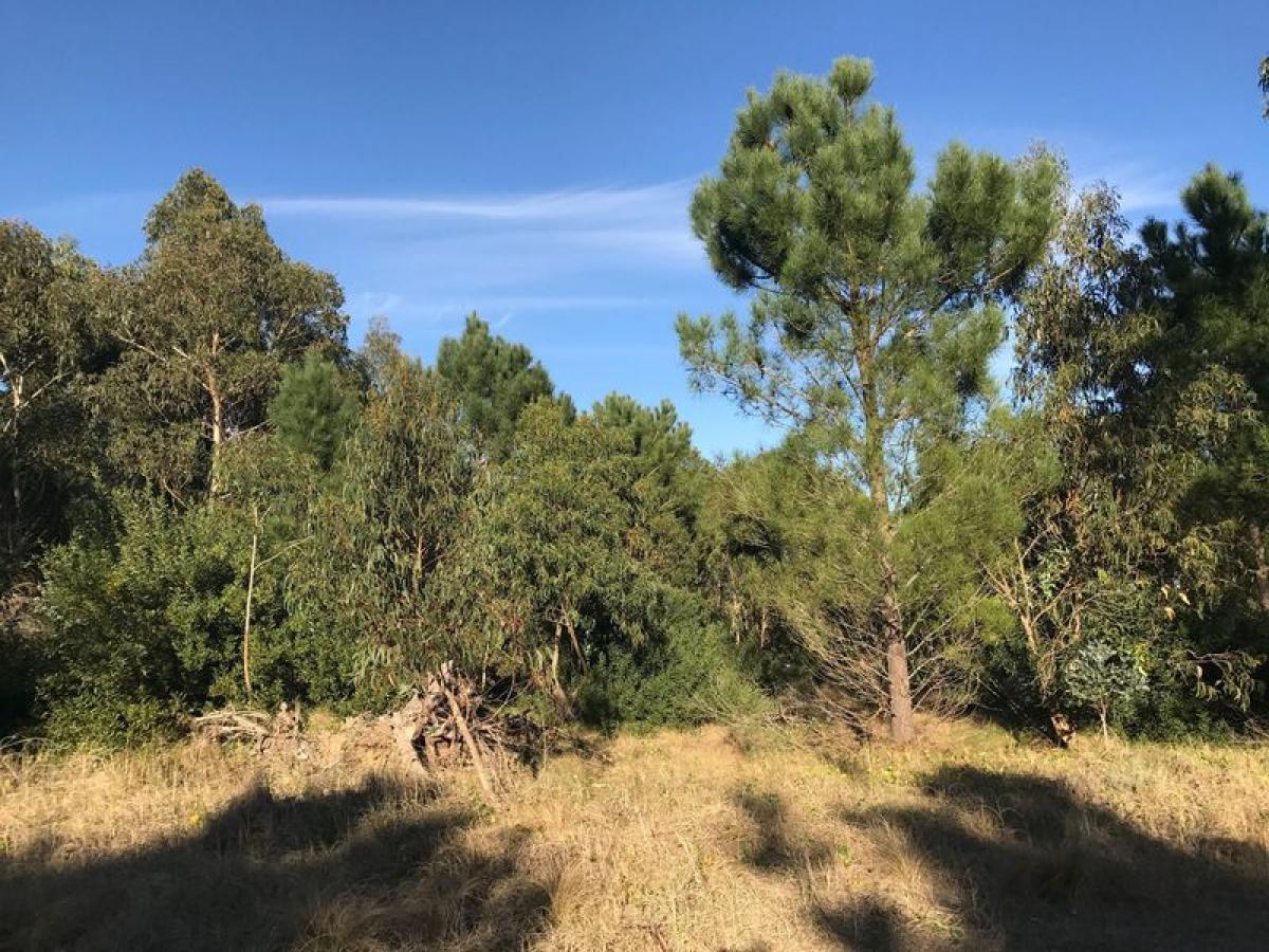  قطعة أرض في Mar del Plata, Argentina رقم 113732