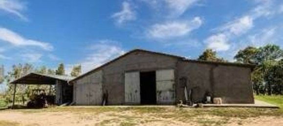 11غرفة منزل في Magliano in Toscana, Italy رقم 221850 19