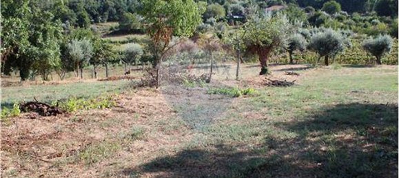 2 غرف نوم منزل في Arrifana, Portugal رقم 25994 16