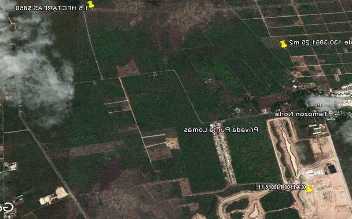  Land in Merida, Mexico No. 100898