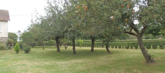 3 غرف نوم منزل في Sainte-Severe-sur-Indre, France رقم 241698 5