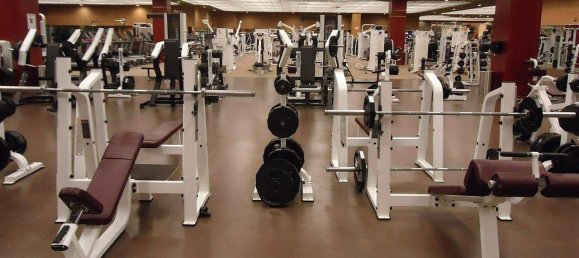 Gewerbliche Immobilie in Wilhelmsburg, Austria 931m², Nr. 128216 2