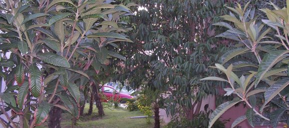 2 bedrooms Commercial property in Katerini, Greece No. 6912 14