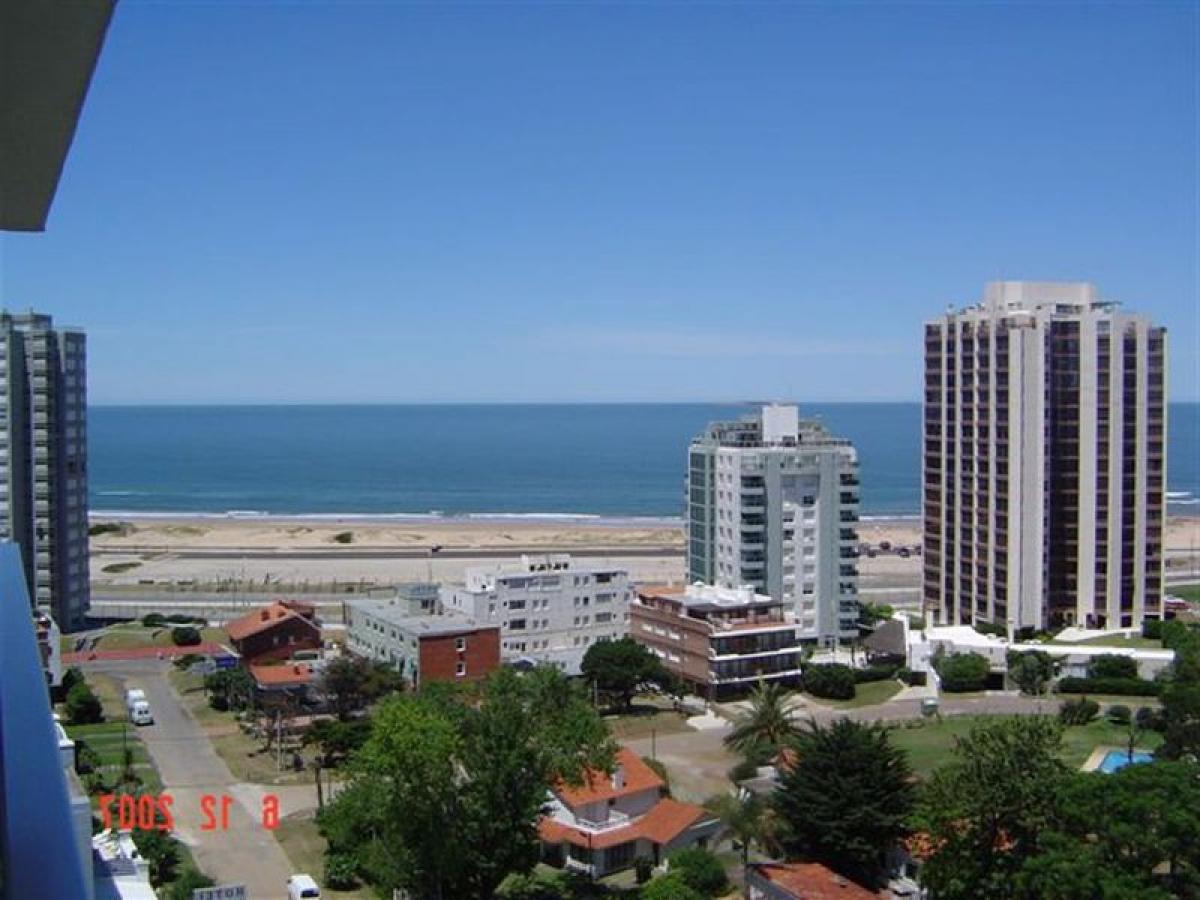 Studio in Maldonado, Uruguay No. 9997