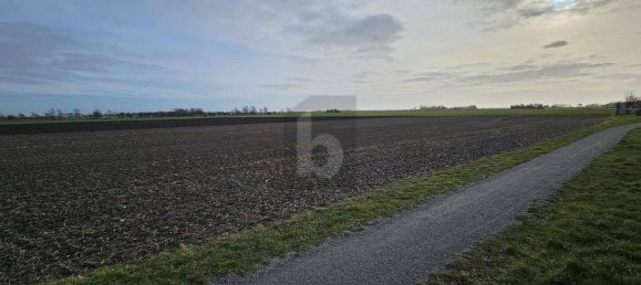 Terrain à Ostholstein, Germany No. 49469 2