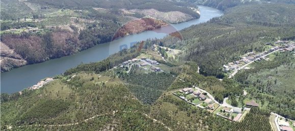 Земельный участок 36825м² в Санта Мария да Фейра, Португалия № 64376 6