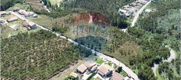 Земельный участок 36825м² в Санта Мария да Фейра, Португалия № 64376 10