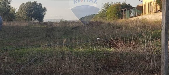  قطعة أرض في Caltagirone, Italy 3600متر مربع رقم 232611 14