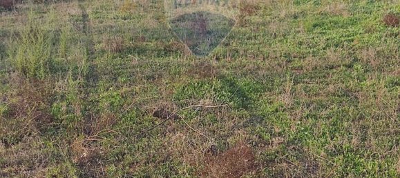  قطعة أرض في Caltagirone, Italy 3600متر مربع رقم 232611 4