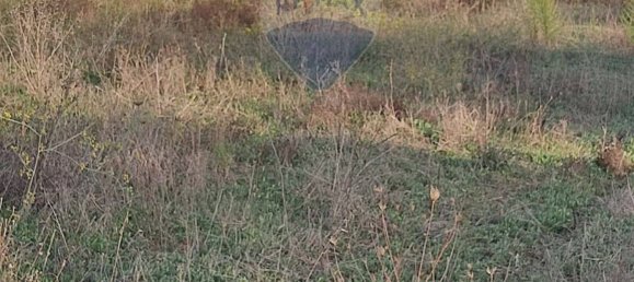  قطعة أرض في Caltagirone, Italy 3600متر مربع رقم 232611 8