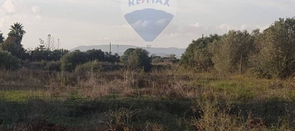  قطعة أرض في Caltagirone, Italy 3600متر مربع رقم 232611 7